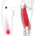 Chiropractic for knee pain