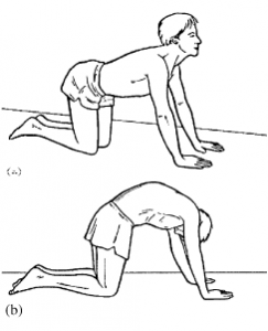 Figures reproduced from Liebenson. C., Journal of Bodywork and Movement Therapies